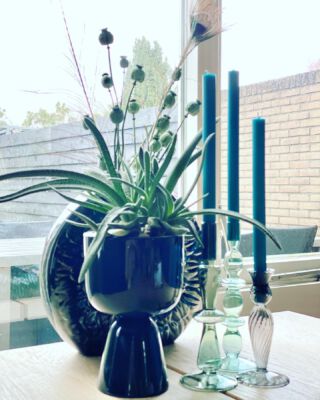 Zwarte kandelaars vervangen door glazen kandelaars en nieuwe droogbloemen in de vaas. Soms is er niet veel nodig om een nieuwe sfeer te creëren.. 😊
.
.
.
#interieurinspiratie #interieuradvies #interieurstyling #tonsurton #groen #tafeldecoratie #glazenkandelaar #iittala #nappula #droogbloemen #kaarsen #lentekriebels